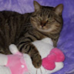 Meet your Posher, Dacoda